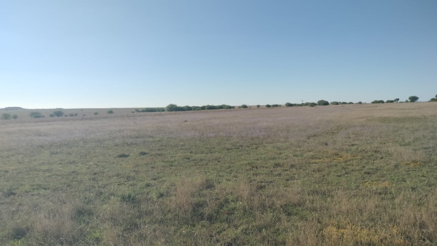 Commercial Property for Sale in Bloemfontein Rural Free State